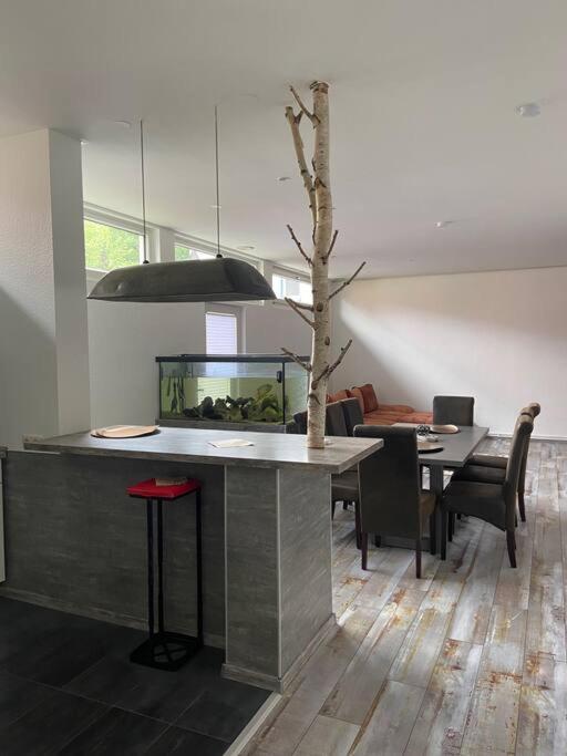 Bronzetaler Appartement Bad Harzburg Buitenkant foto