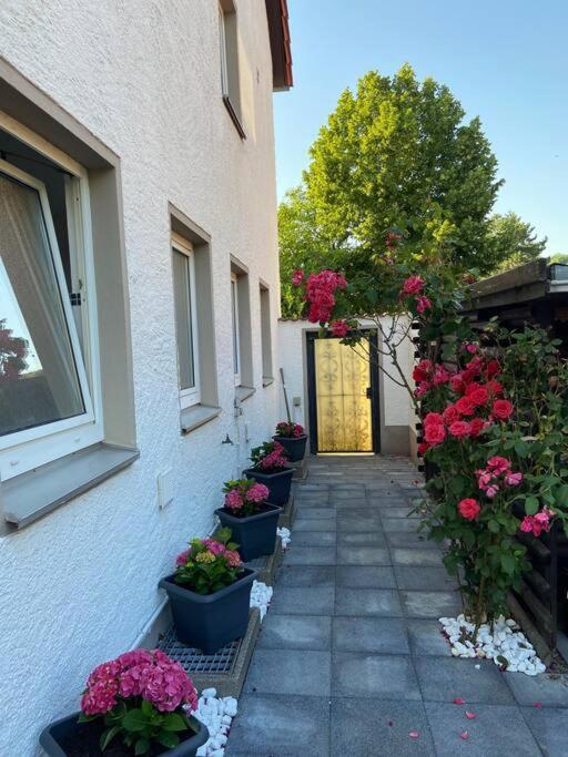 Bronzetaler Appartement Bad Harzburg Buitenkant foto